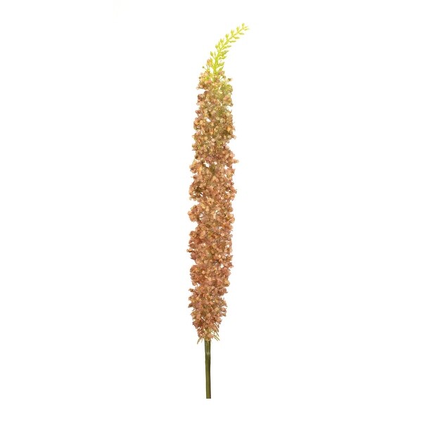 Orange Eremurus Floral Stem (Set of 2)