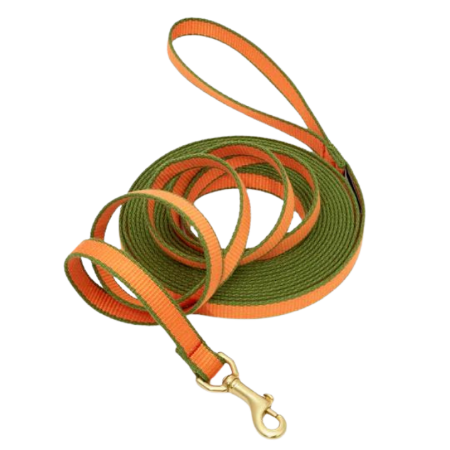 Training Leash | Tangerine & Pine