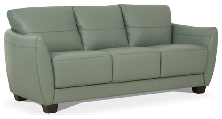 ACME Valeria Leather Sofa in Watery   Transitional   Sofas   by Homesquare  Houzz