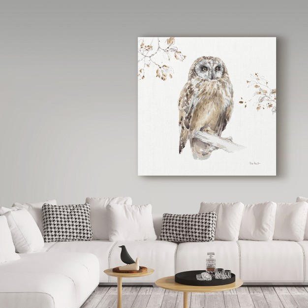 Trademark Fine Art lisa Audit x27 woodland Walk Viii Owl x27 Canvas Art