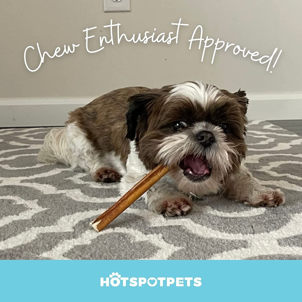 HOTSPOT PETS 6-inch Rawhide Alternative Natural Flavor Beef Collagen Sticks Chews Dog Treats