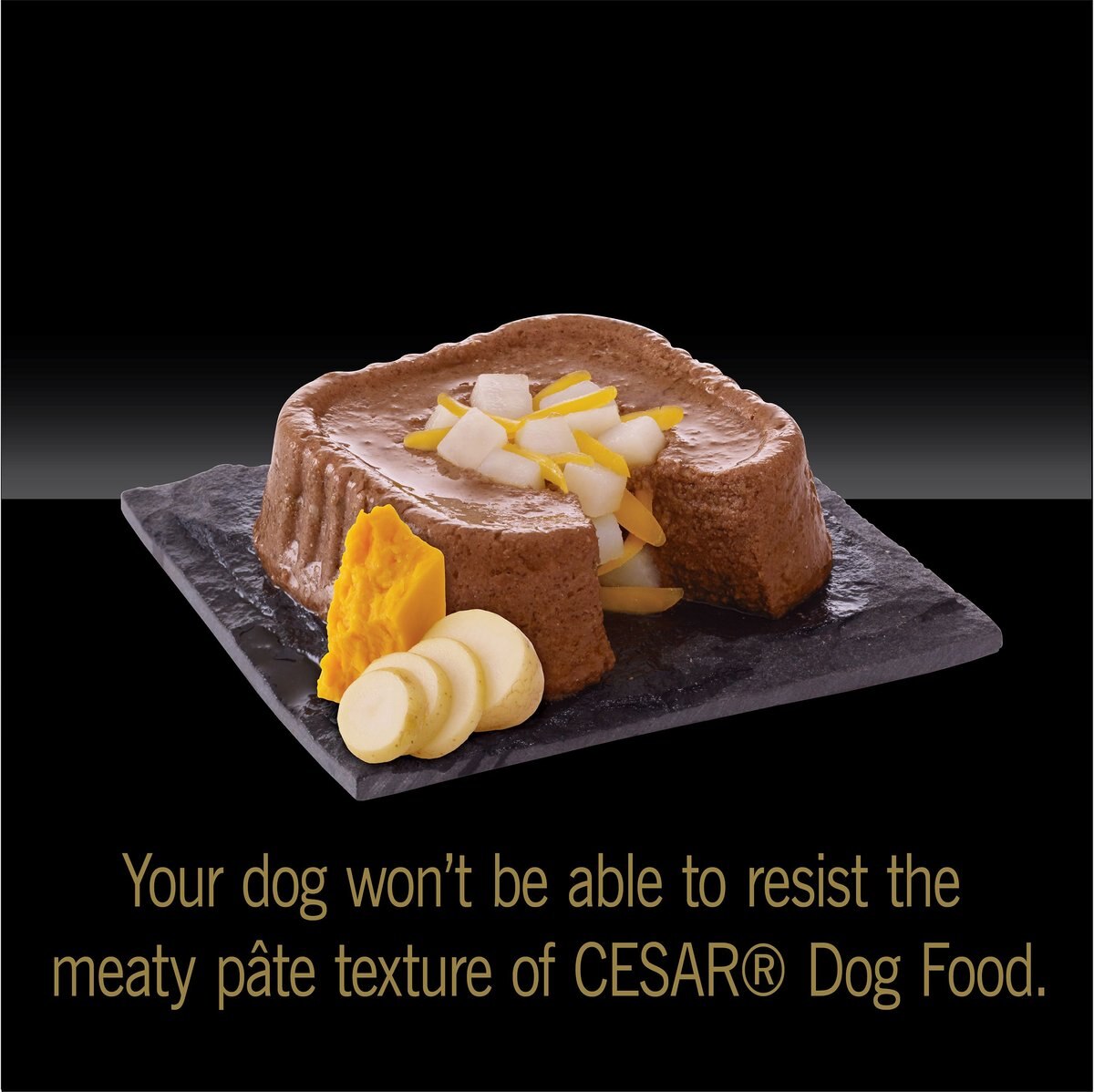 Cesar Loaf and Topper in Sauce Ham and Egg Flavor with Potato and Cheese Dog Food Trays