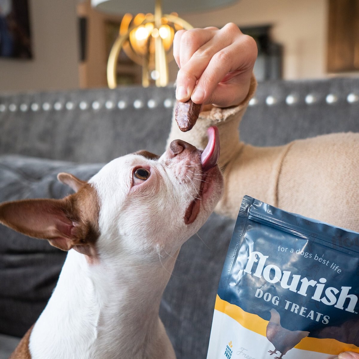 Flourish Chicken Hearts Freeze-Dried Dog Treats