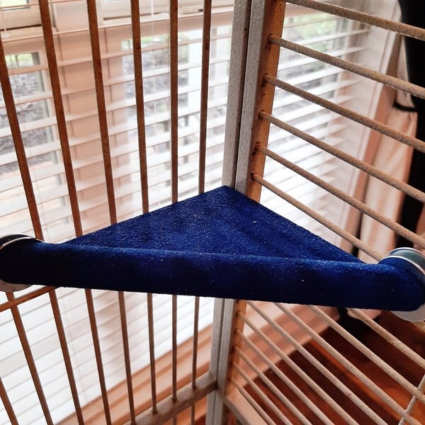 Polly's Pet Products Lazy Loft Bird Perch