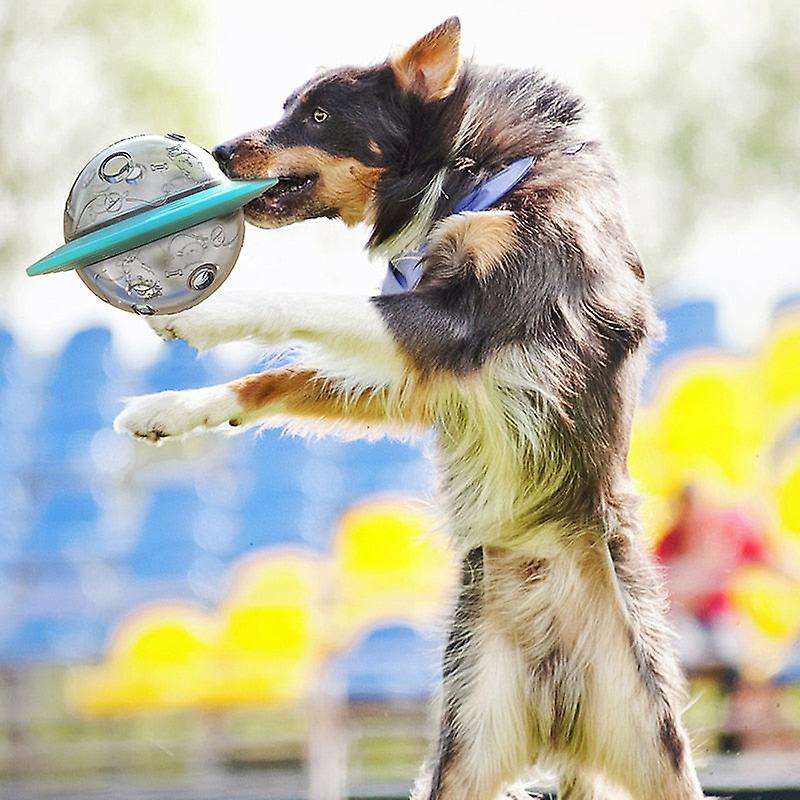 Flying saucer dog slow feeder toys