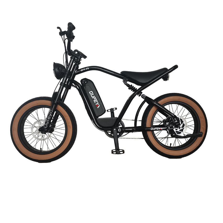 Factory Direct Sale electric bike manufacturer E Bicycle 500w 750w electric fat bike snow fat bike