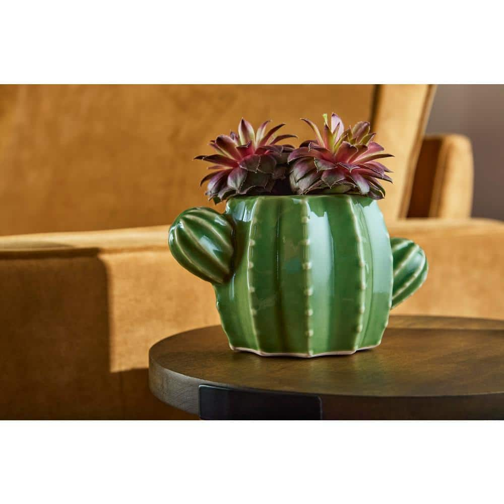 Vigoro 6.7 in. Raker Cactus Small Green Ceramic Pot (6.7 in. D x 3.7 in. H) With Drainage Hole CRM-094258