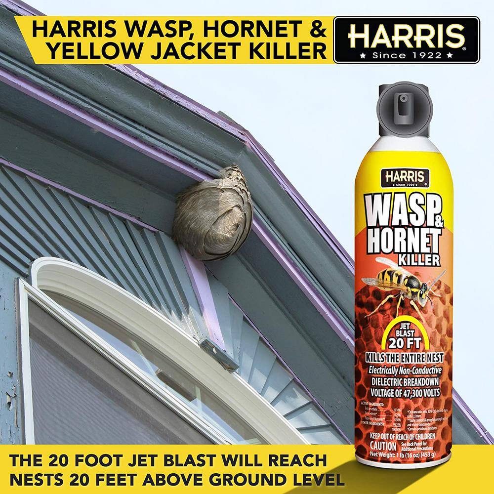 Harris 16 oz. Wasp and Hornet Killer (6-Pack) 6WH-16