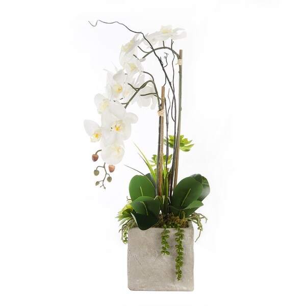 Real Touch White Orchids and Succulents in Square Cement Pot