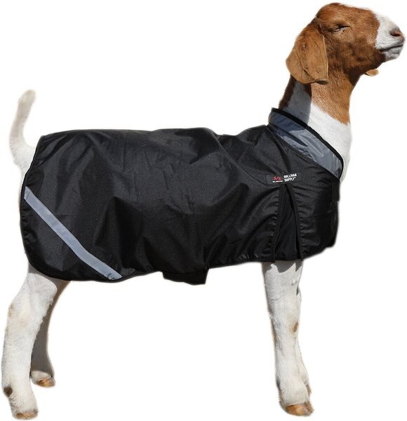 Sullivan Supply Wether Shield Thermal Goat Blanket