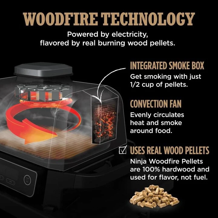 Ninja Woodfire Outdoor Grill and Air Fryer