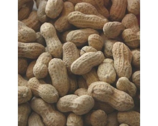 Raw Peanuts， 25 lb. (Not for Human Consumption)