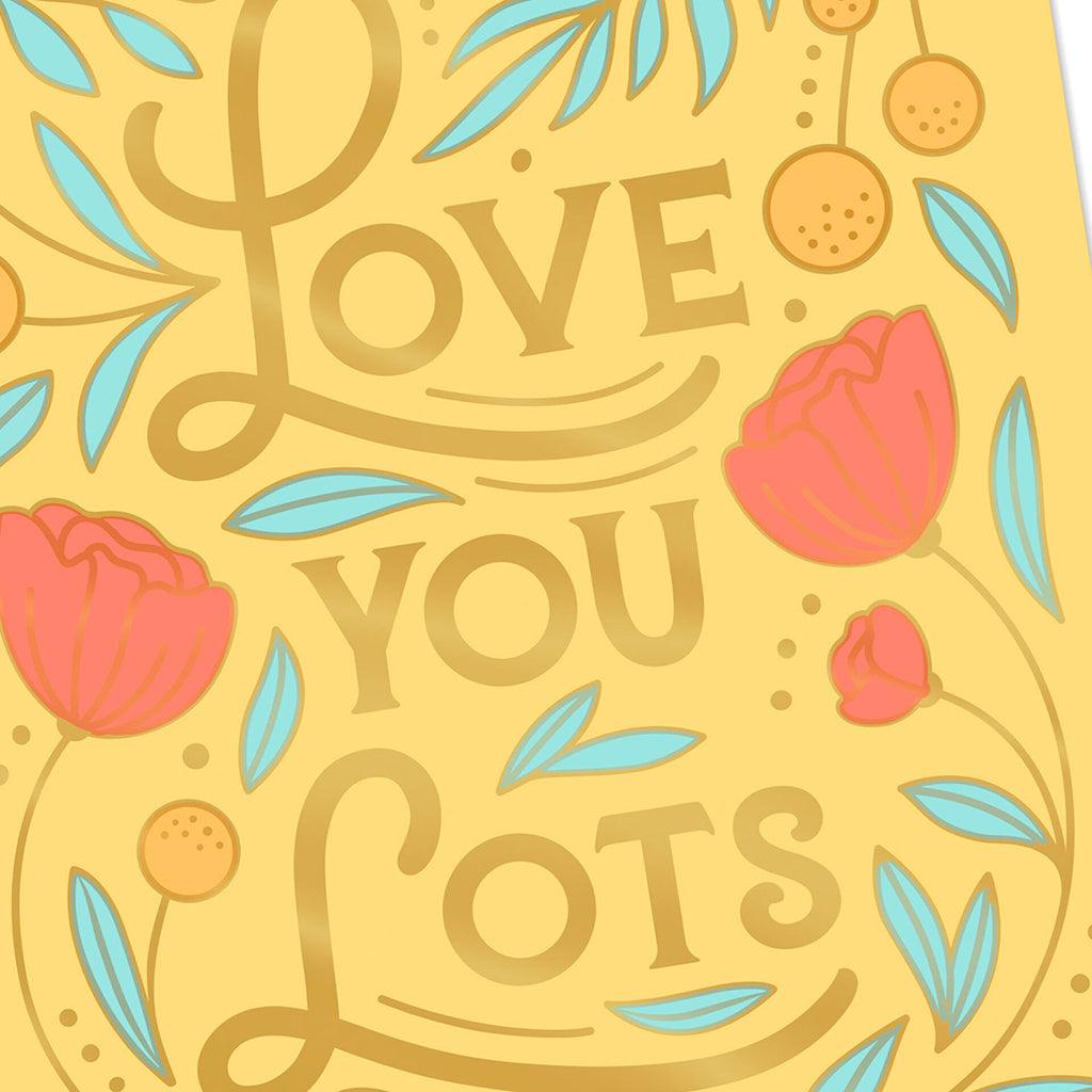 Hallmark  Love You Lots Video Greeting Thinking of You Card