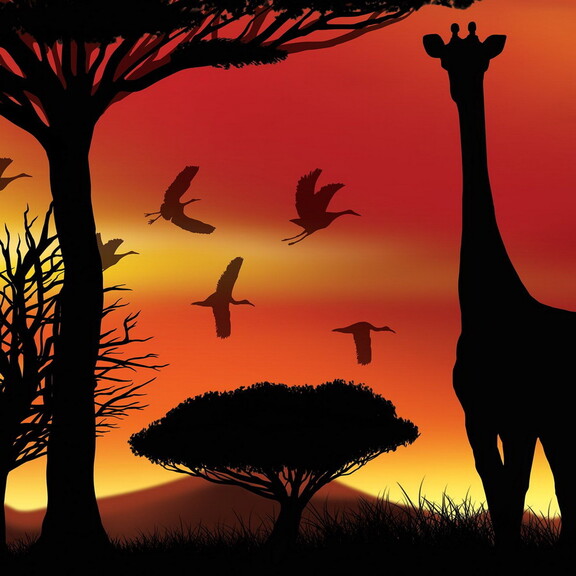 Beistle 53046 Safari Insta Mural  complete wall de...