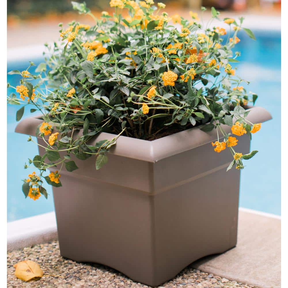 Bloem Veranda Square 18 in. Black Plastic Deck Box Planter 57918