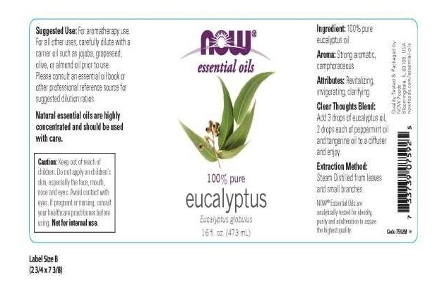 Now Foods Eucalyptus Oil 16 Oz 16 Oz Liquid