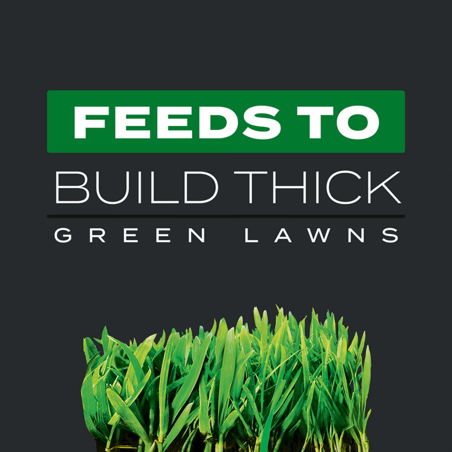 Scotts Turf Builder Triple Action Weed and Feed Lawn Fertilizer For All Grasses 10000 sq ft