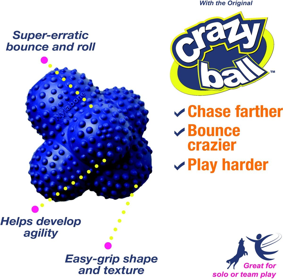 Nylabone Power Play Crazy Ball Dog Toy