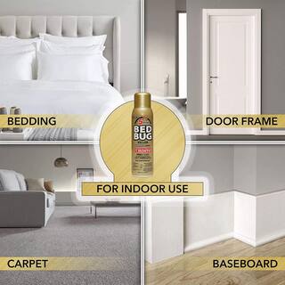 Harris 16 oz. 5-Minute Bed Bug Killer Foaming SprayKills All Life Stages (3-Pack) 3GOLDBB-16A