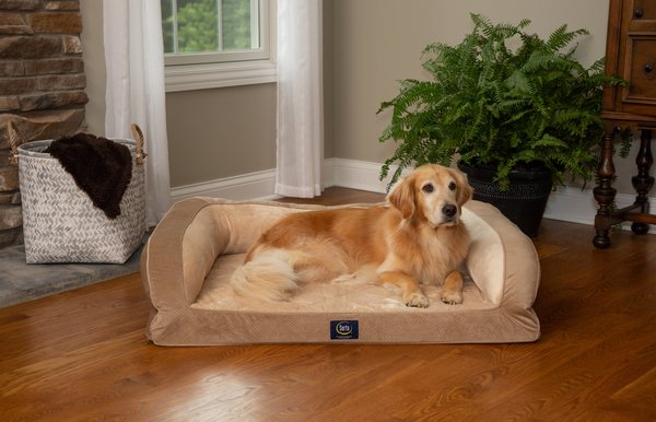 Serta Quilted Couch Cat and Dog Bed， X-Large