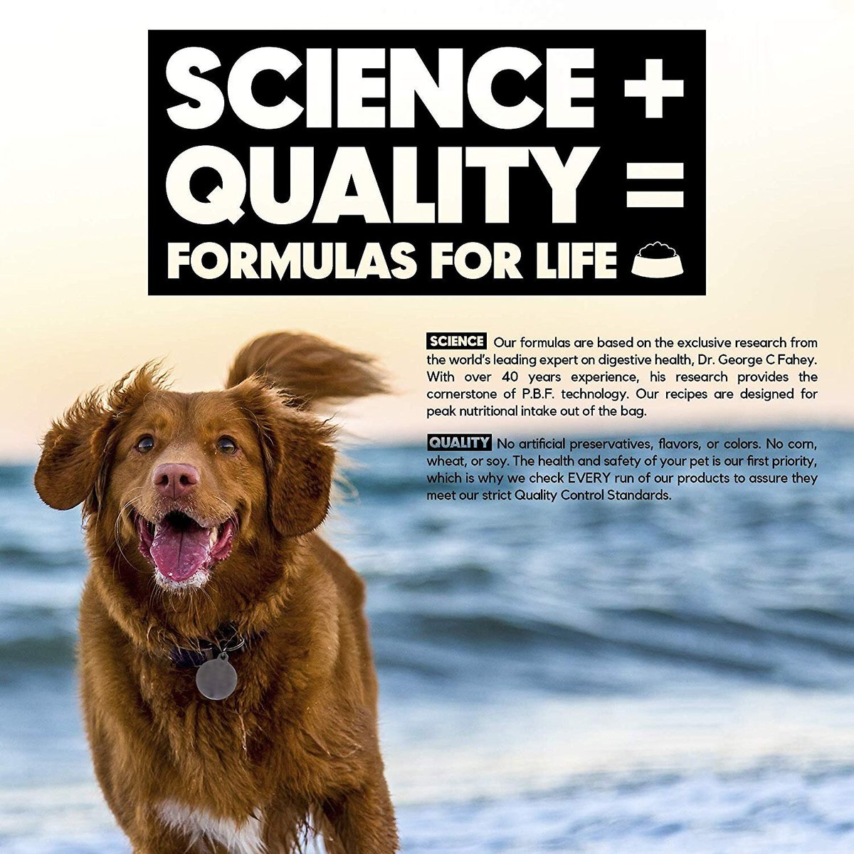 Lucy Pet Products Formulas for Life Limited Ingredient Diet Chicken Brown Rice and Pumpkin Formula Dry Dog Food