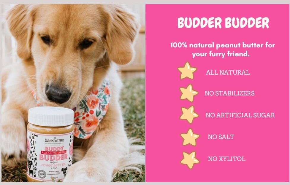 Bark Bistro Company Buddy Budder Awesome Apple Peanut Butter Lickable Dog Treat， 17-oz jar