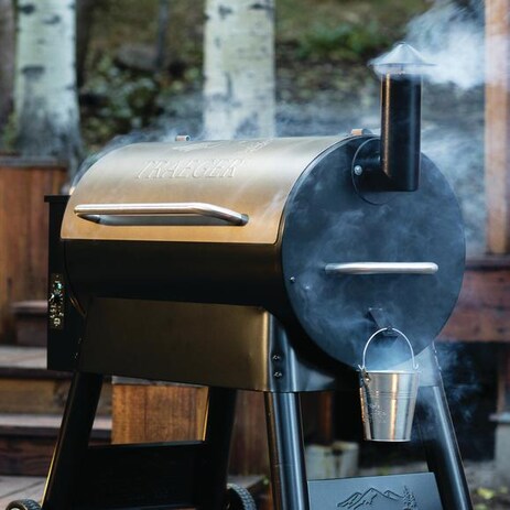 Traeger Pro Series 22 Pellet Grill Bronze