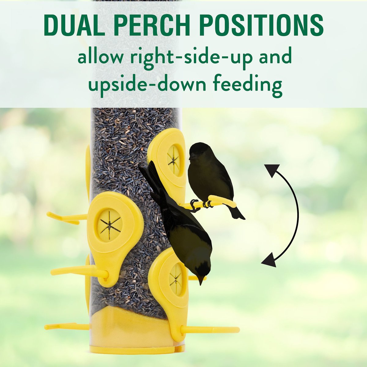 Perky-Pet Finch Wild Bird Feeder