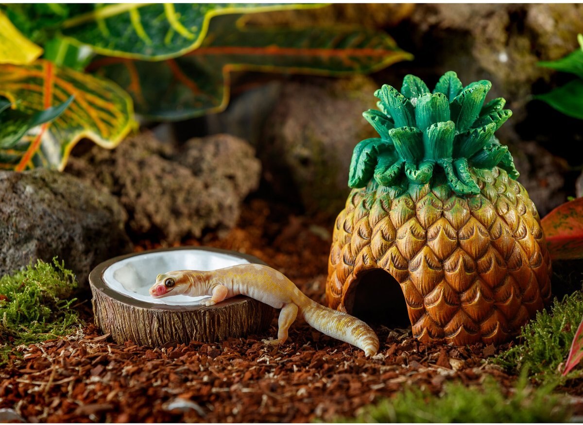 Exo Terra Pineapple Reptile Hide Out