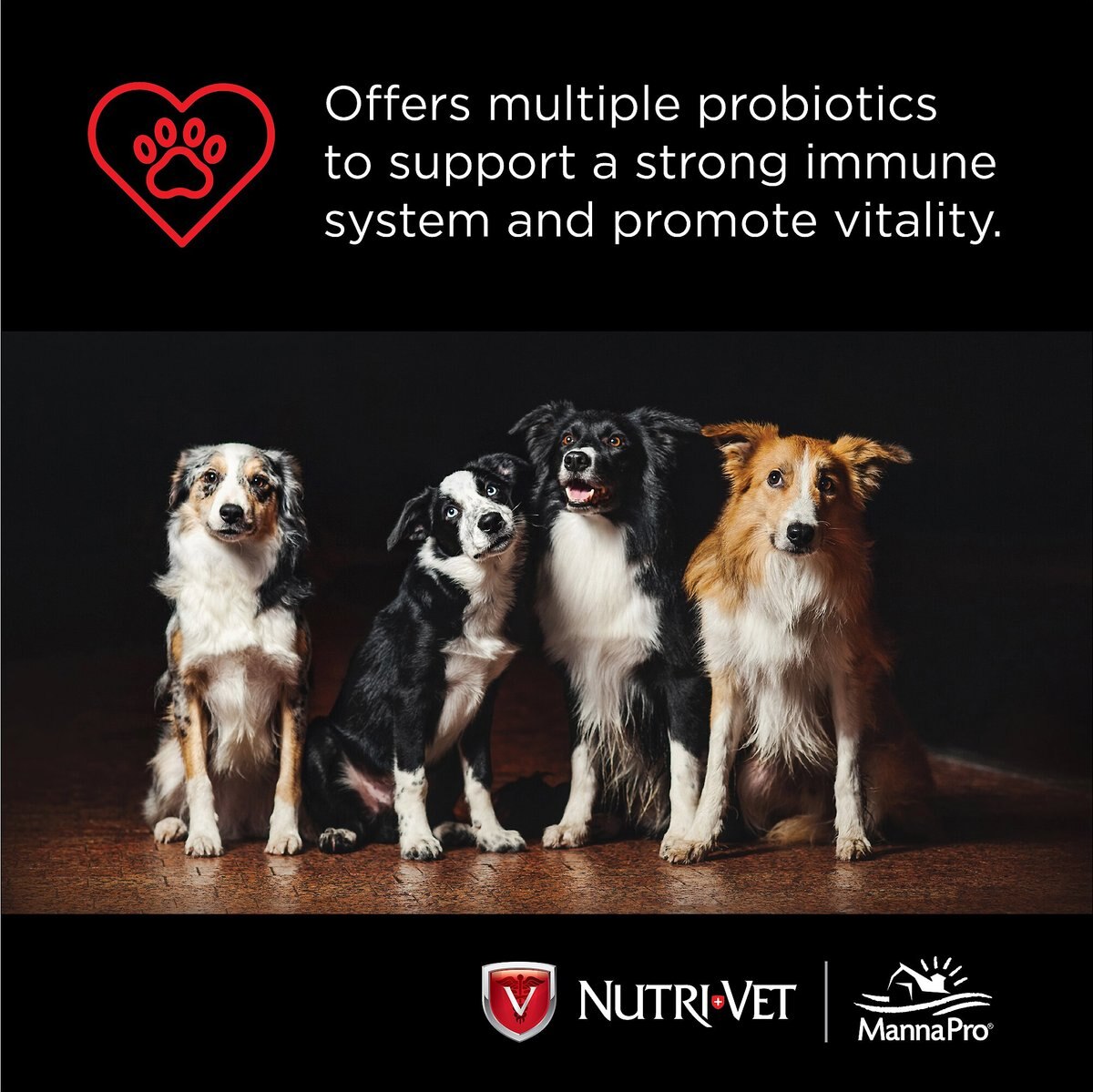 Nutri-Vet Probiotics Capsules Digestive Supplement for Dogs