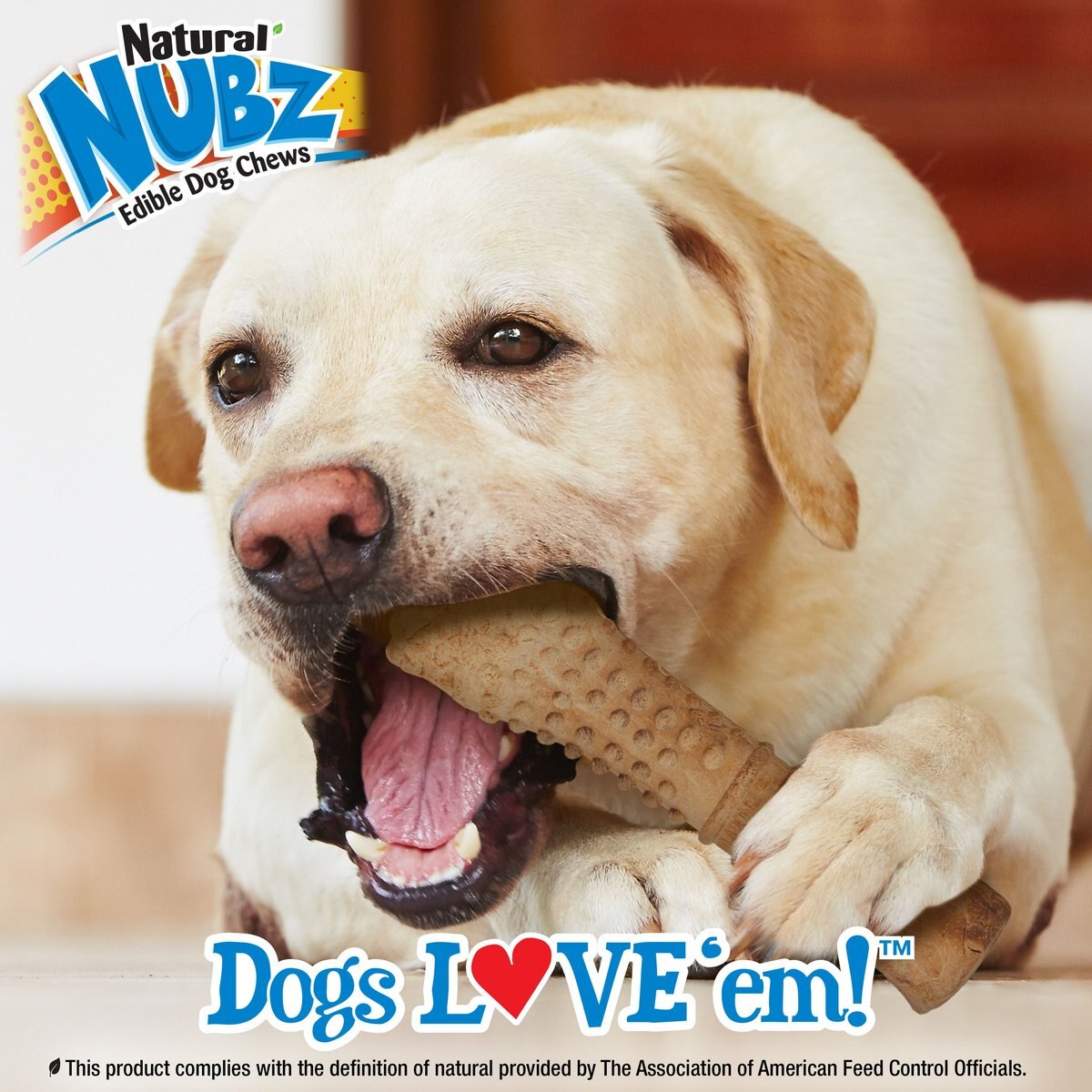 Nylabone Nubz WILD Natural Long Lasting Edible Bison Flavor Dog Chews， X-Large