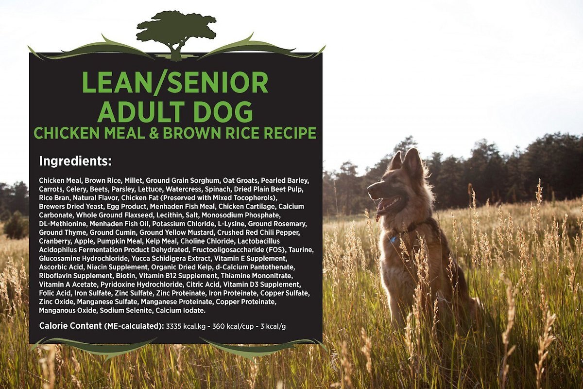 Blackwood Chicken Meal and Rice Recipe Lean Diet Adult Dry Dog Food