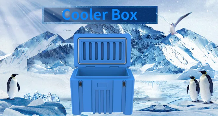 240L Camping Plastic Cooler Box Rotomolded ice chest cooler case for hiking picnic