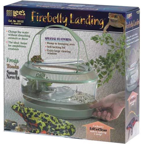 Lee's Aquarium and Pets Firebelly Landing Frogs and Toads Habitat