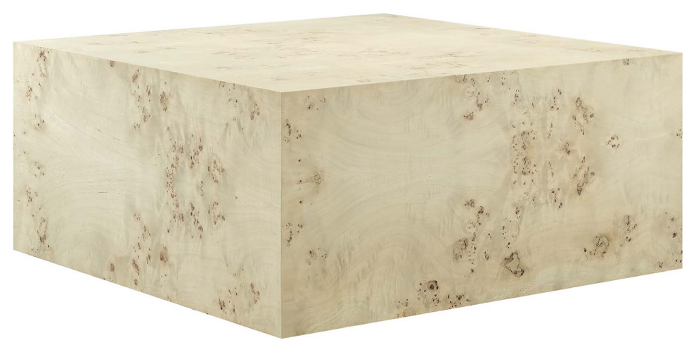 MODWAY Cosmos 36 quotSquare Burl Wood Coffee Table   Transitional   Coffee Tables   by Modern Furniture LLC  Houzz