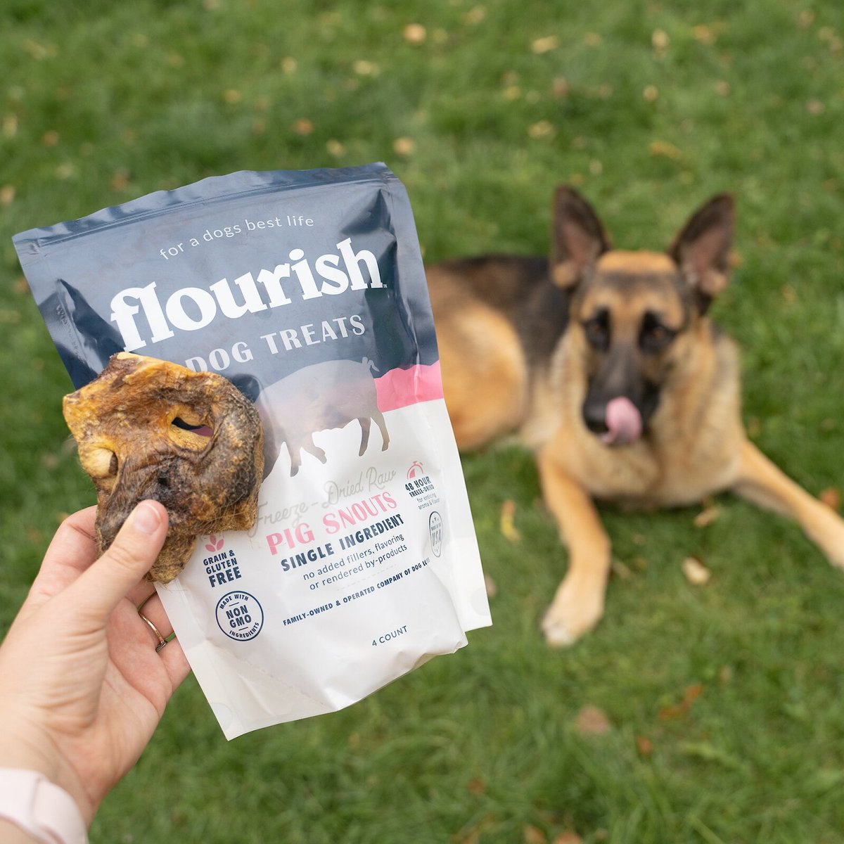 Flourish Pig Snouts Freeze-Dried Dog Treats