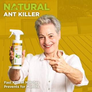 ECOVENGER Ant Insect KillerRepellent by EcoRaider 32OZ Instant Kill 4-Week Deterrence Plant-Based ChildPet-Safe EH1RM50032