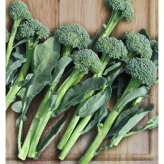 BONNIE PLANTS HARVEST SELECT 25 oz. Stir Fry Broccoli Plant 715339121103