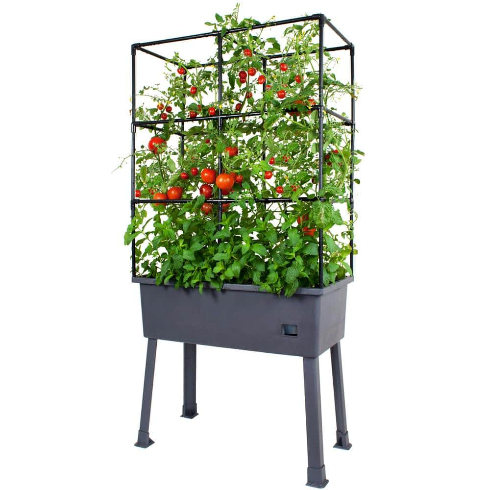 Frame It All Patio Ideas - 15.75 in. x 31.5 in. x 63 in. Self-Watering Raised Garden Bed with Trellis and Greenhouse Cover 300001602