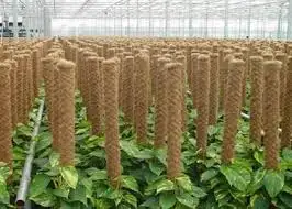 Customizable 30/40/60/80/100Cm Coco Coir Pole Sticks For Indoor Gardening