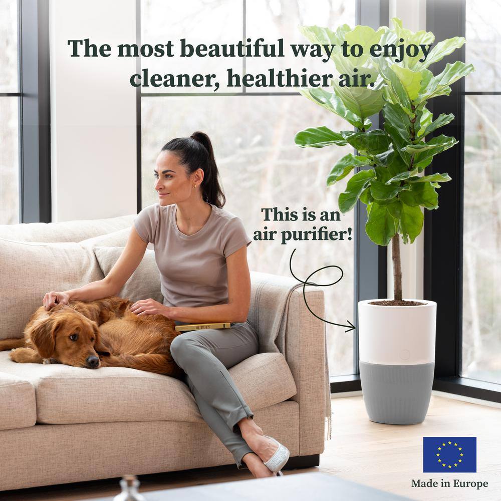 DUPRAY Bloom HEPA-13 Air Purifier with Planter AutoDetect to Remove Dust Smoke Bacteria Allergens and Odors - 1517 sq. ft. AIR030W