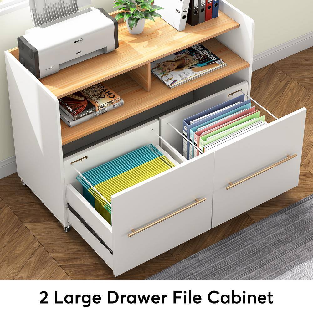 BYBLIGHT Atencio White 2-Drawer Mobile File Cabinet with Storage Shelves and Locking Casters for Home Office BB-XK00093DT