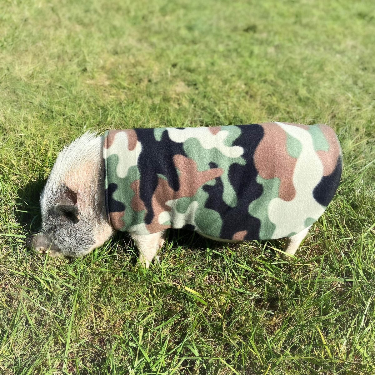 Morty's Pig Clothes Fleece Strap Pig Sweater