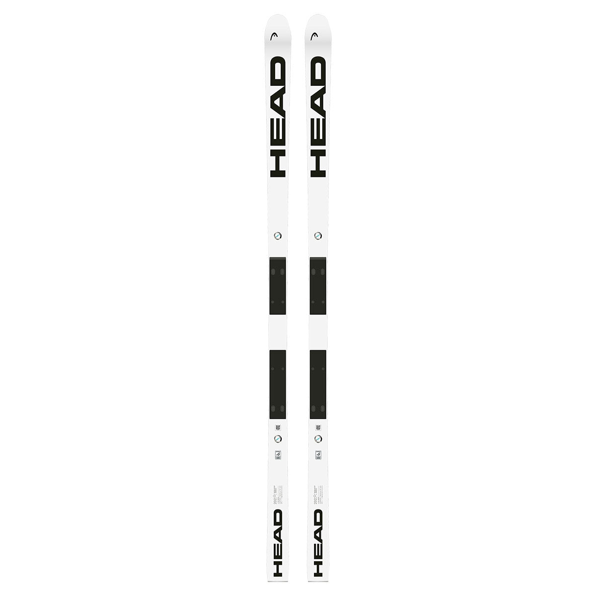 2025 HEAD WCR E-SG Rebel FIS Skis