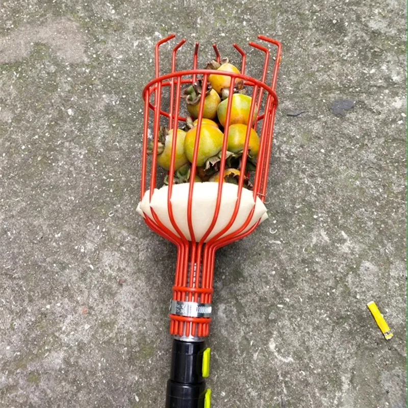 High Altitude Fruit Picker Head Without Pole Metal/Plastic Fruit Collector Harvest Picking Apple Citrus Pear Garden Hand Tools