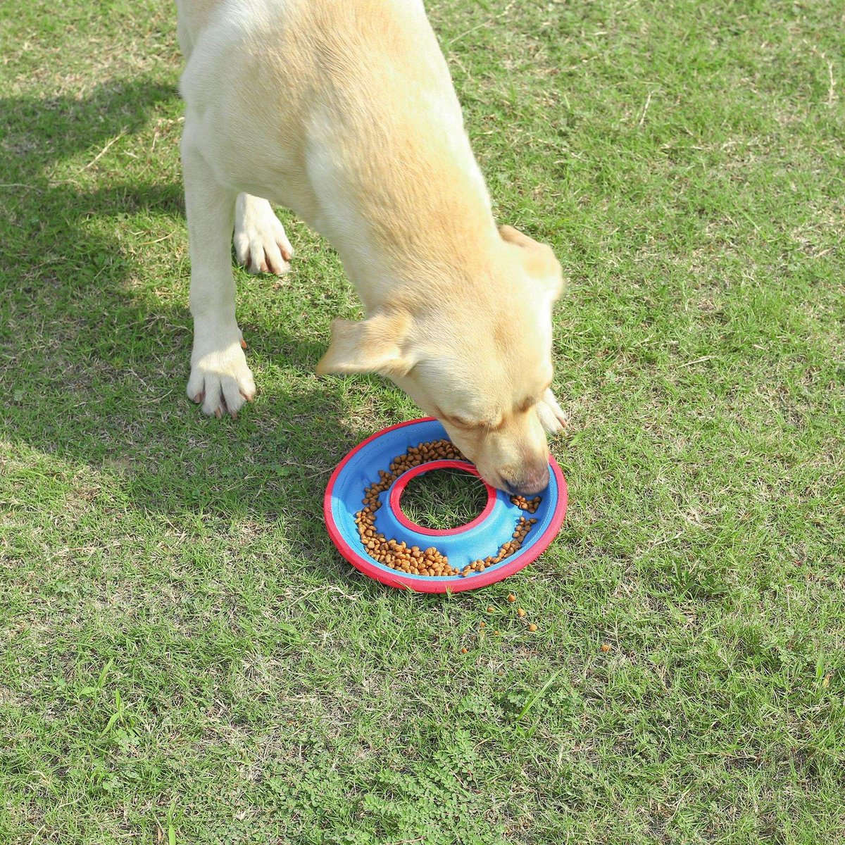 EYS Dog Floating Water Resistance Disc Toys and Feeding Bowl