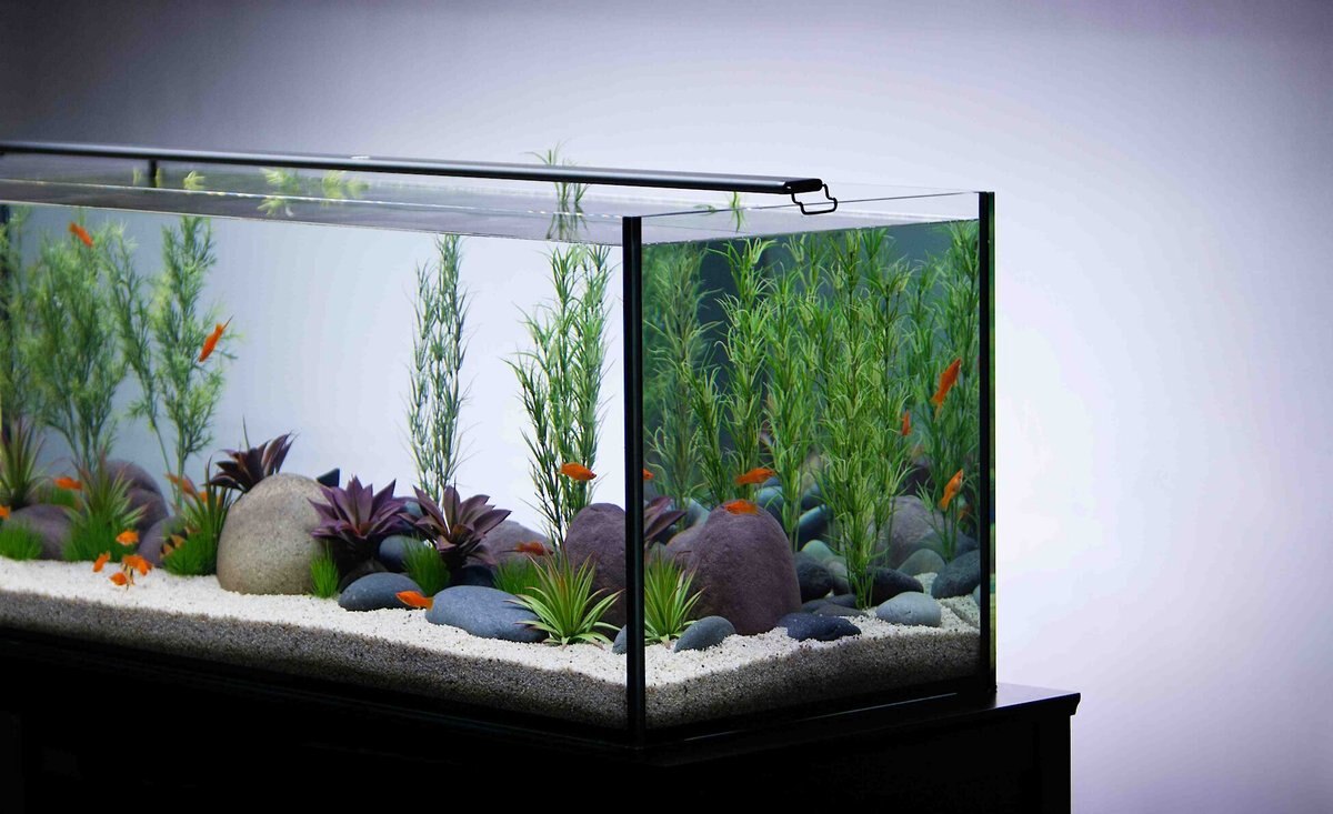 Current USA Satellite Freshwater Aquarium LED Light