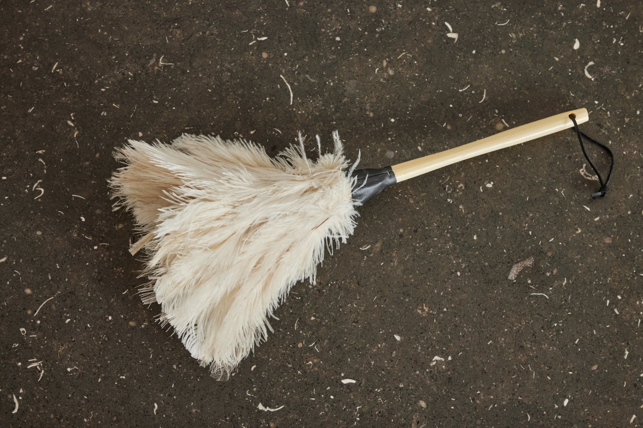 Ostrich Feather Duster