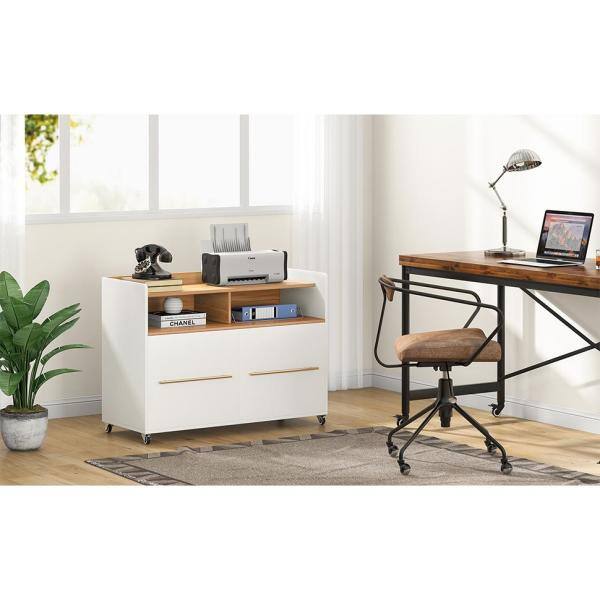 BYBLIGHT Atencio White 2-Drawer Mobile File Cabinet with Storage Shelves and Locking Casters for Home Office BB-XK00093DT