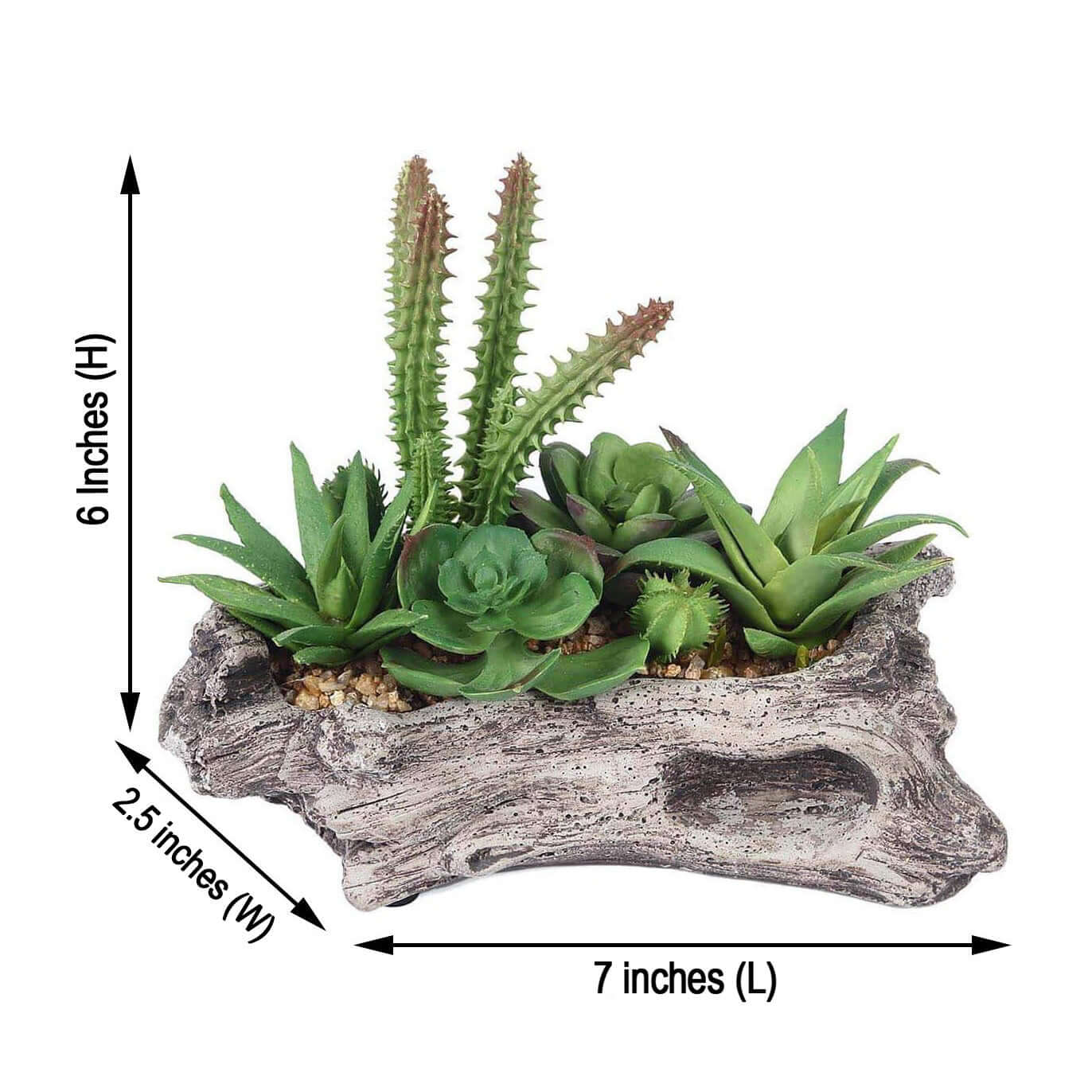 Natural Artificial Log Planter and 15 Assorted Succulent Plants 7